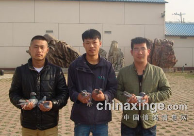 �ȷ���������350����ǰʮ��(ͼ)