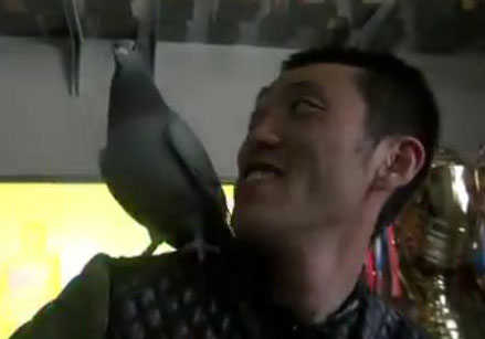 ��Ƶ������80���γ��ɼ��Ȼ(��)