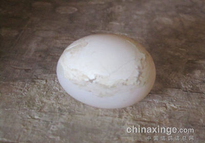 �ɹ��޲��뵰(ͼ)