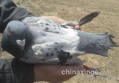 ����̽�ӣ����ǵ��Ÿ뻹���缦(ͼ)