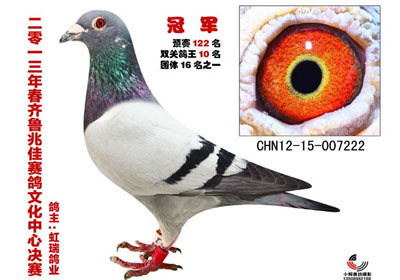 ��³�׼Ѵ�1�������������(ͼ)