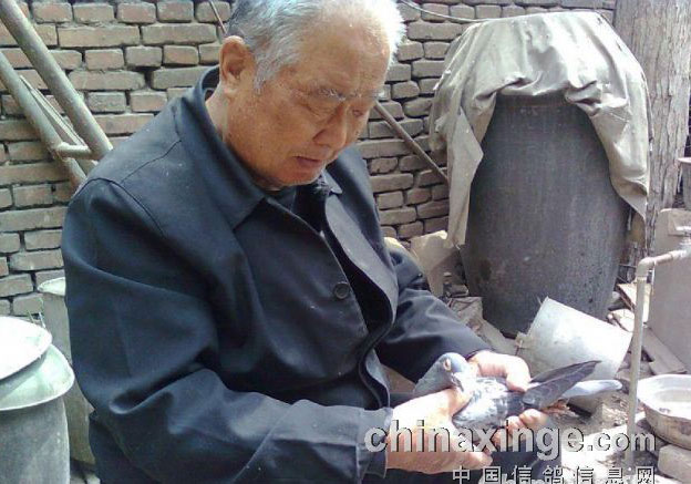 �߷�78����ѣ����ѷɳ�����ǰ����(ͼ)