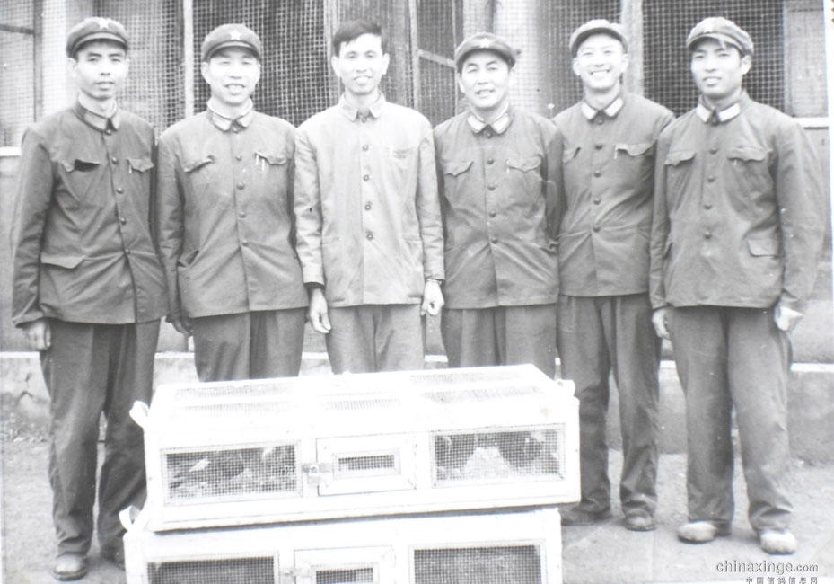 ���й��Ÿ�ξ�ʼĩ����ר����˳����ʦ(��)