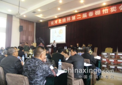 �ӱ����鹫�������ֳ�(ͼ)