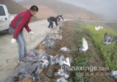 ������������ʸ�������(ͼ)