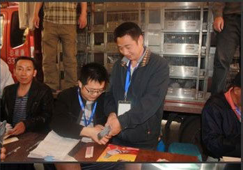 ���콭���������رȾ�������(ͼ)