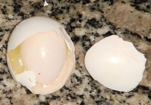 ����ĵ��е�(ͼ)