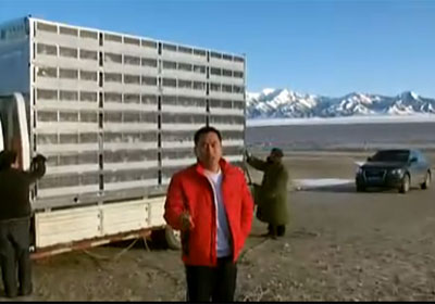 ��Ƶ�������������������سɼ�