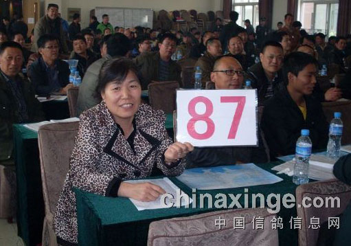 �ӱ����蹫����������߼�2��Ԫ(ͼ)