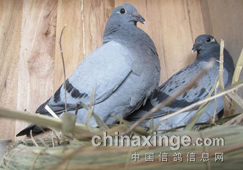 ���������ݱ����뽡��