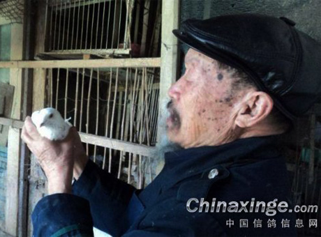 83����ѳ����ؾ���ʤ�����ܲ���(ͼ)