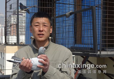 ����������200�������ǰʮ��(ͼ)