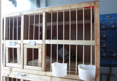 180Ԫ�������չʾ��(ͼ)