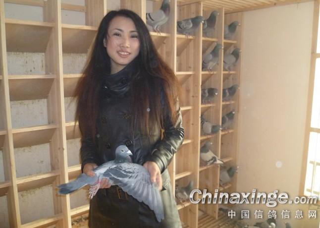 ���ߵĸ��ѣ��ι۸�˫����