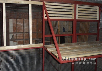 设计飞棚两间 月底入住(图)