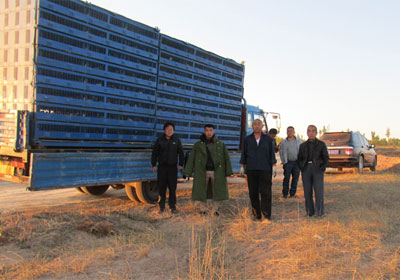 ���ݶ�ʢ��������ֳ�ʵ��(ͼ)