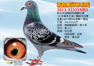 ̨�山�������ڶ��عھ�������(ͼ)