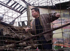 ª����Ȼ�����ɳ��ھ�(ͼ)