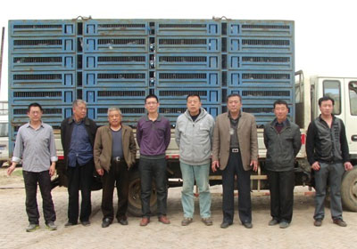 ������Ź���480�����������(ͼ)