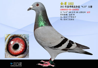 �������ɳ�����ؾ����񽱸�����(ͼ)