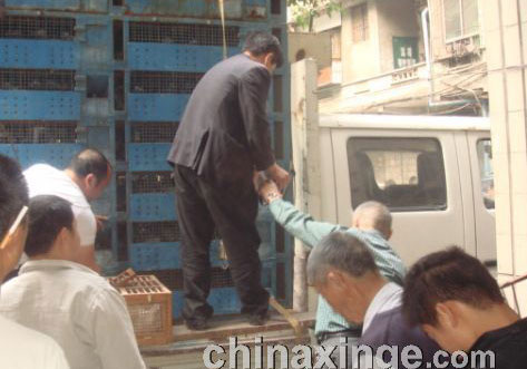 �Ĵ�����500�����������(ͼ)