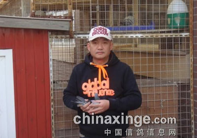 ����������ش����ۺ�ǰʮ��(ͼ)