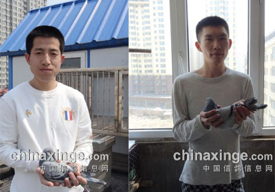 ������300�������ǰʮ�����(ͼ)