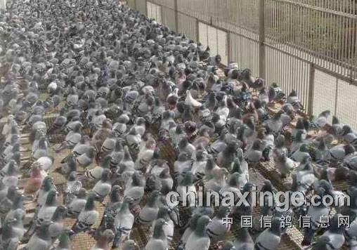 �͹���ʧ��ԭ��(ͼ)