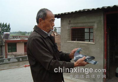 ���ߵĸ��ѡ������ҵĲݸ�����ѽ���ѡ(ͼ)