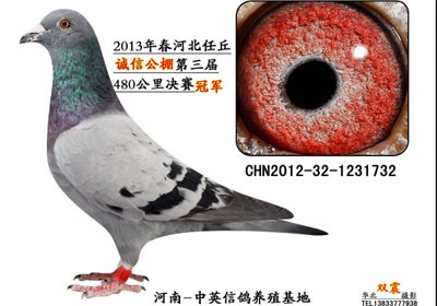 ������Ŵ������ʮ���񽱸�(ͼ)