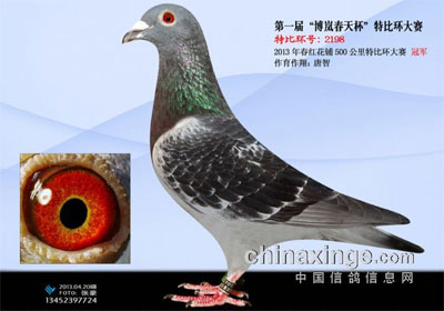 ���첩ᰵ�һ�촺�챭ǰʮ������(ͼ)