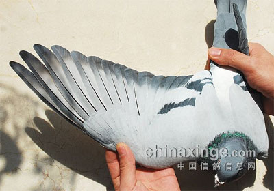 ������̬�ṹ����ܵ��˻�