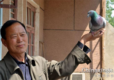 ����һ����������������(ͼ)