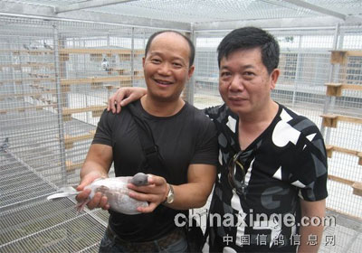 ����ѷ������˹��ʱ�������(ͼ)