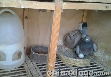 �׸���ǰ��Ӧ����С�취(ͼ)