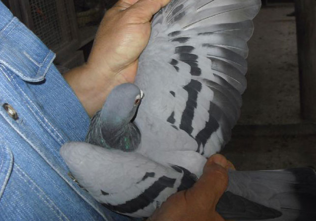 �������ϵ��������Ϻ����x���Ǿ���(ͼ)