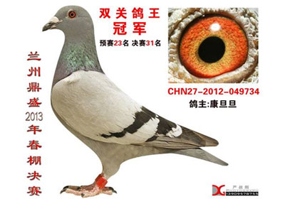 ���ݶ�ʢ�������ǰʮ����������(ͼ)