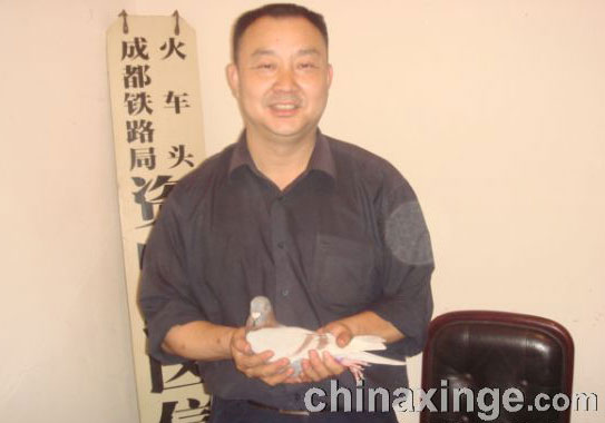 �Ĵ�����500���������� �ھ�����ʤ��(ͼ)