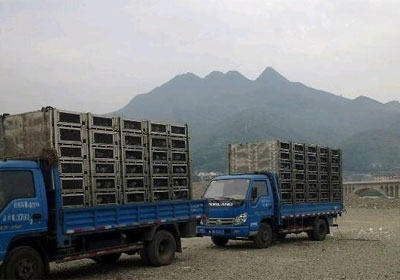 ��ɫ��һ�����𴨸뵱�ս���ʮ����(ͼ)