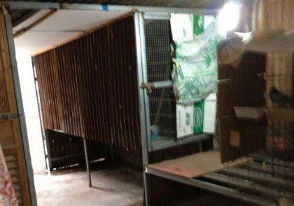 ��ʵ�����ڲ�(ͼ)