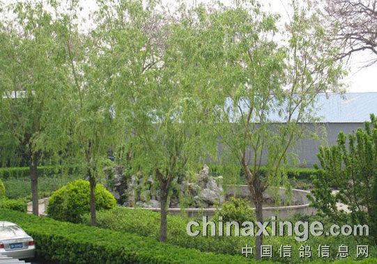 ס�����ĸ��� ��һ���Ҹ�(ͼ)