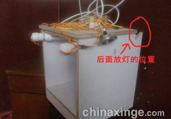 简易鸽子照相箱的制作(图)