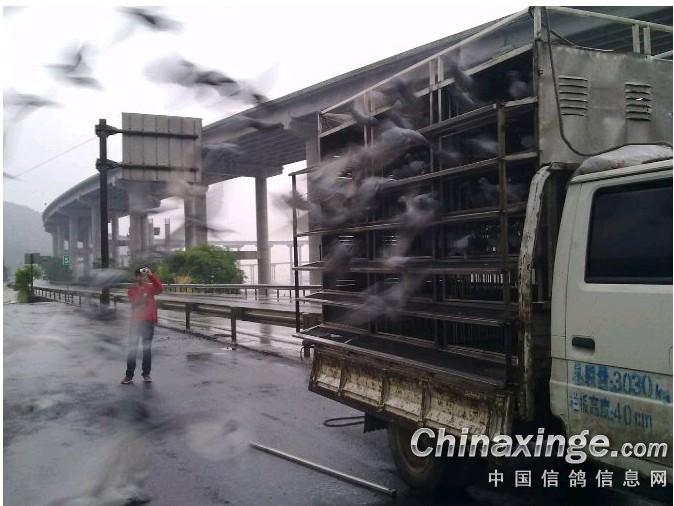 �������裺���ݾ����ر������п���(ͼ)