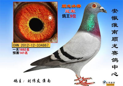 ���ջ���˳����������񽱸�����(ͼ)