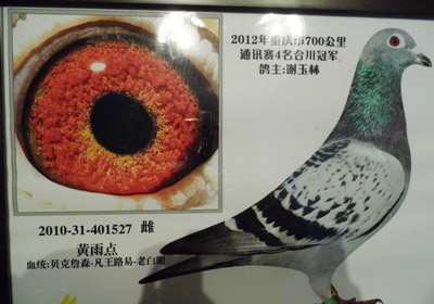 ����ϴ�����л���ֵ����뾭��(ͼ)