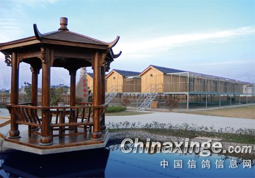 Ͷ�������򽨺�����(ͼ)