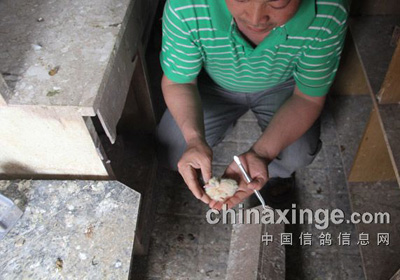 �ָ�ֱ���³���С���̣�(ͼ)