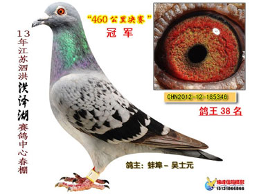 ������������ľ�����������(ͼ)