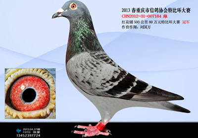 ����80��Ԫ�ر�ǰʮ��������(ͼ)