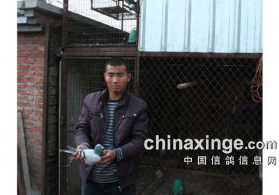 ������������Э�������ۺ�ǰʮ��(ͼ)